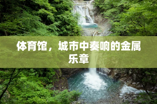 体育馆，城市中奏响的金属乐章