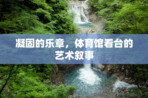 凝固的乐章，体育馆看台的艺术叙事