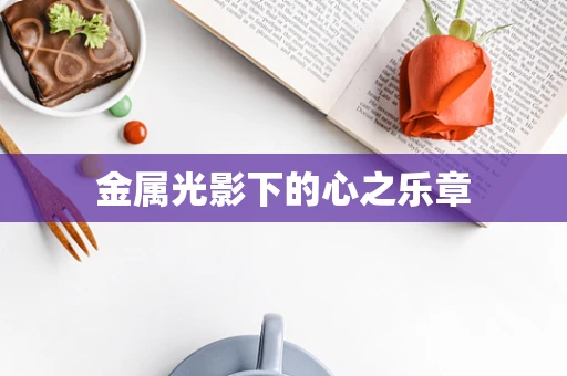金属光影下的心之乐章