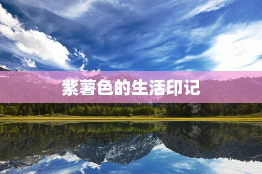 紫薯色的生活印记