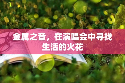 金属之音，在演唱会中寻找生活的火花