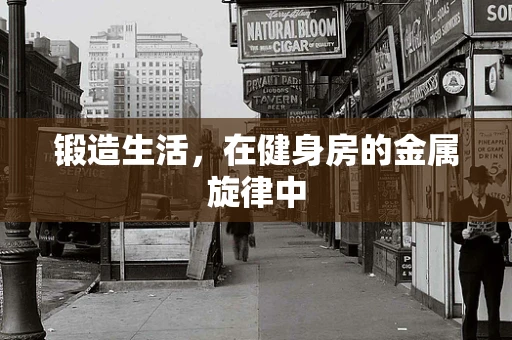 锻造生活，在健身房的金属旋律中
