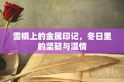 雪橇上的金属印记，冬日里的坚韧与温情