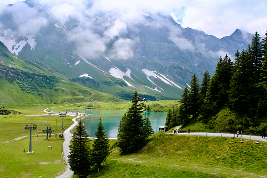 海洋之歌，金属艺术与深蓝的对话