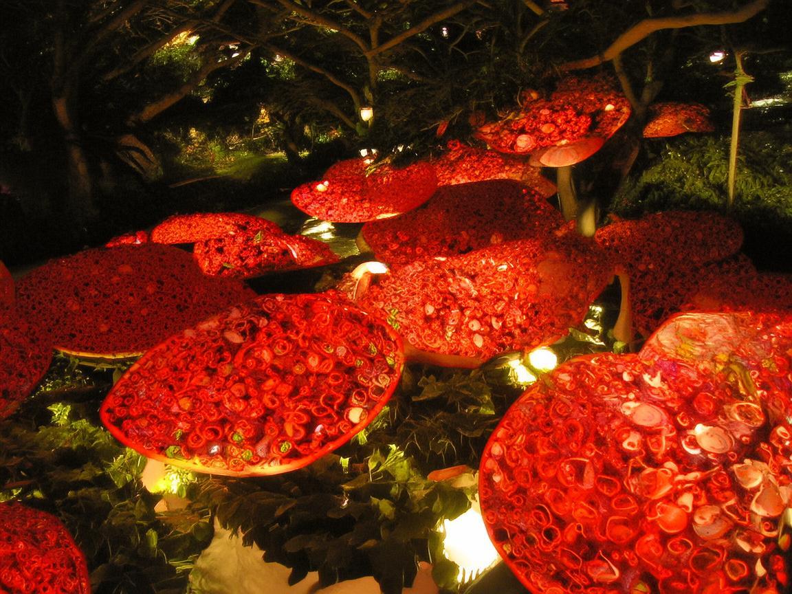 猕猴桃之影——金属艺术与日常生活的温柔邂逅