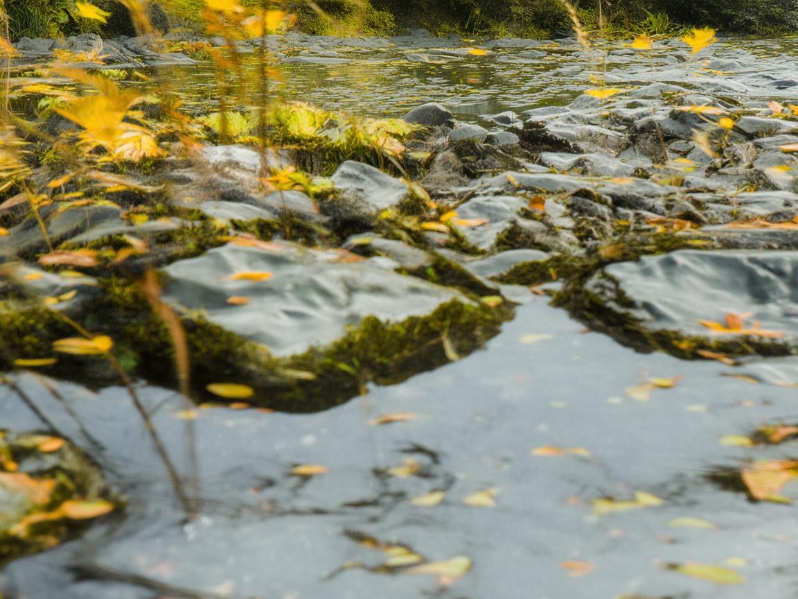 普洱茶香里的金属韵律，生活与艺术的交响