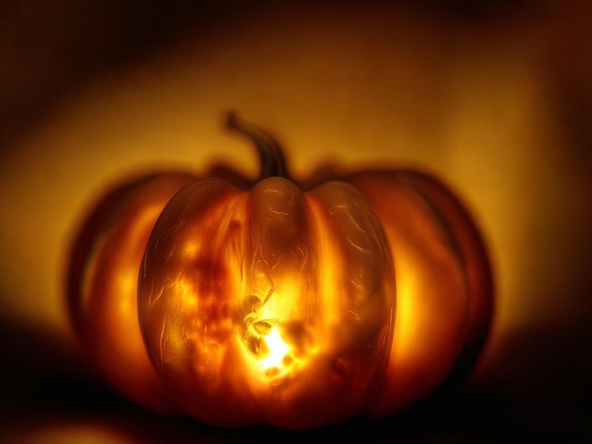 金属南瓜，坚韧中的温暖与甜蜜