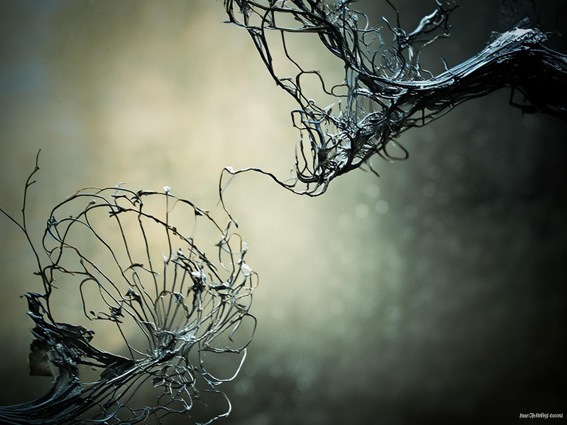 金属艺术中的生命沉思 金属艺术中的生命沉思