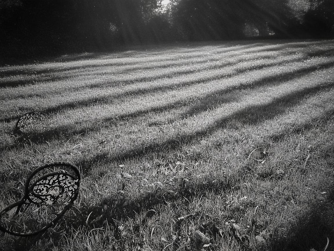 轮上光影，骑行印记