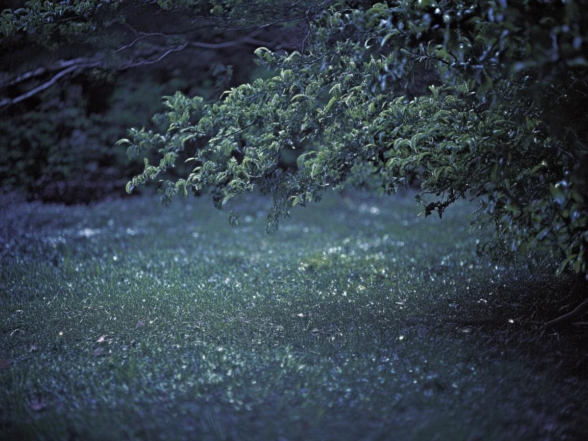 光影中的寂静回响