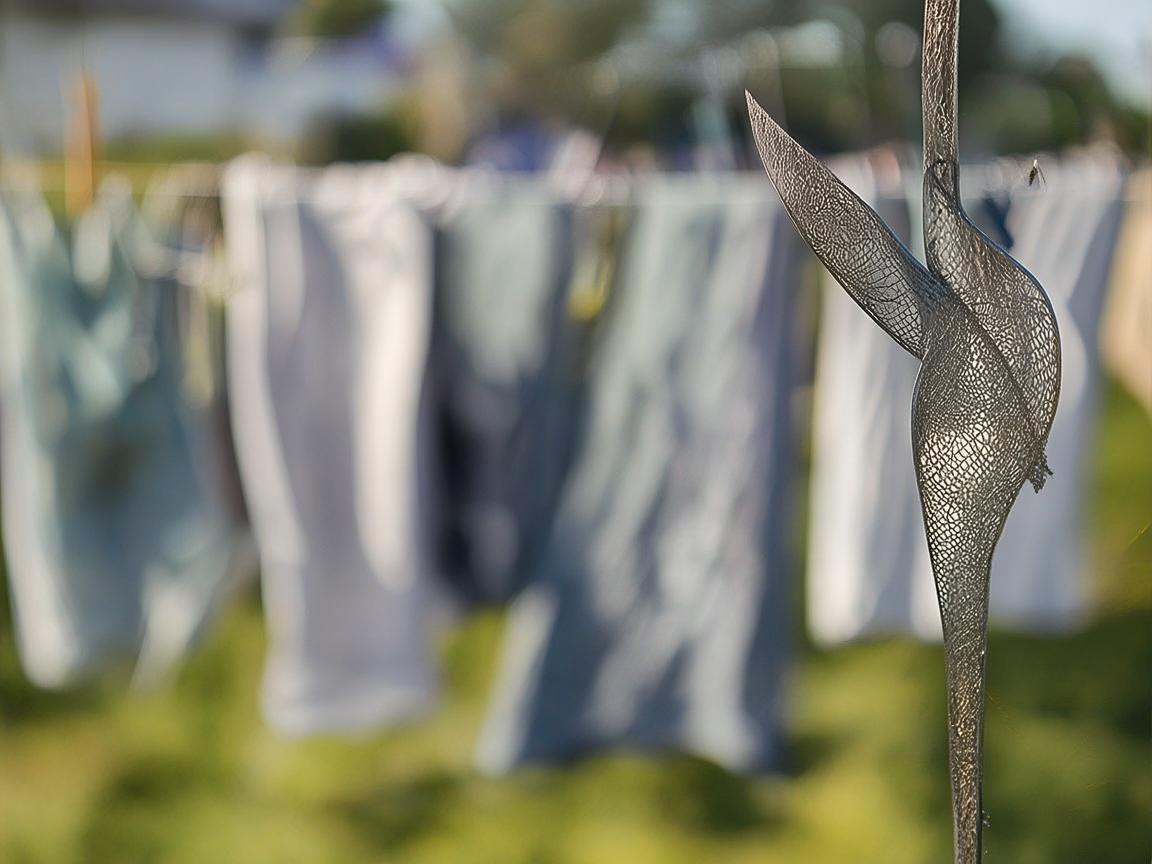 晾衣夹下的金属艺术，生活中的坚韧与灵动