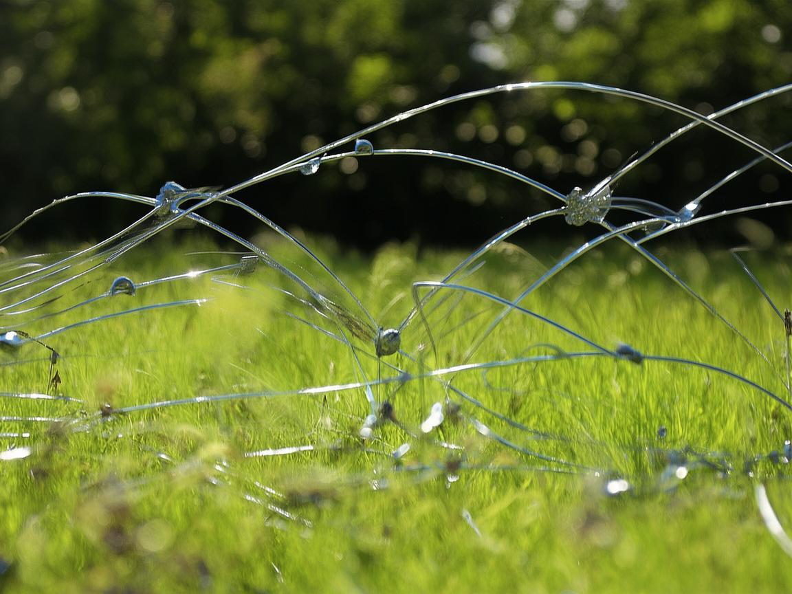 电话线之歌，金属艺术中的坚韧与柔情