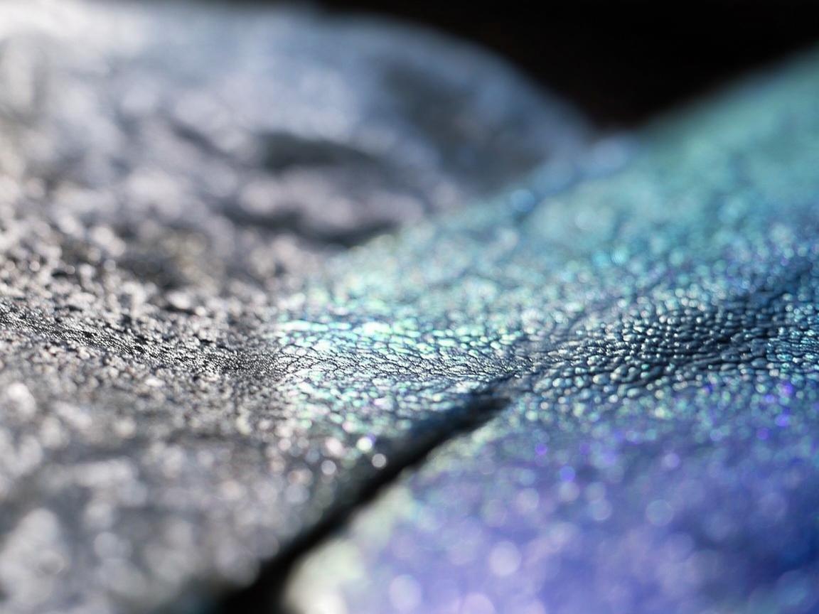 金属与胆囊,坚韧背后的柔软 金属与胆囊,坚韧背后的柔软