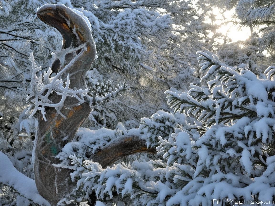 金属之魂，伊春的冬日记忆