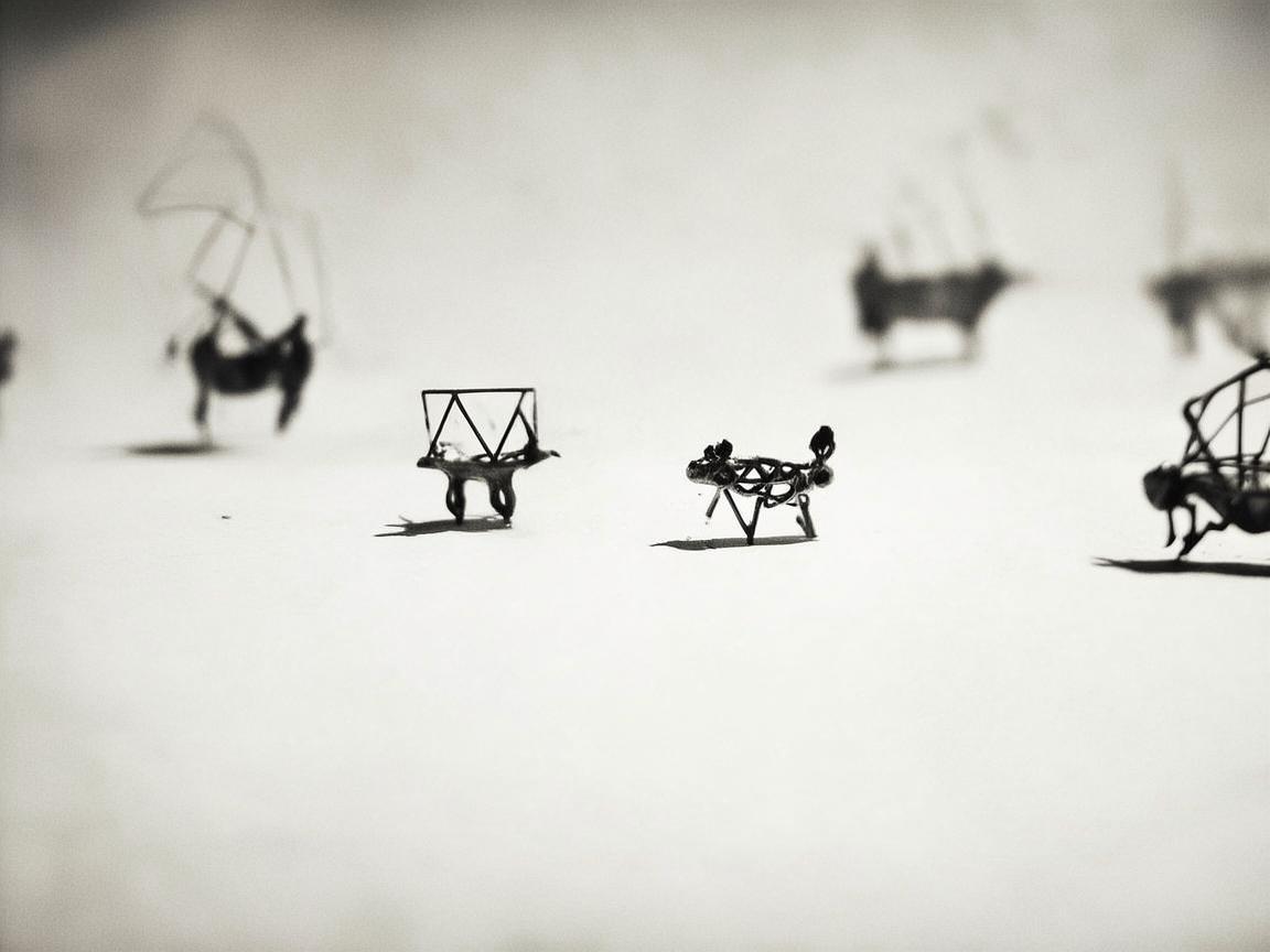 金属之舞，宠物玩具的匠心独白