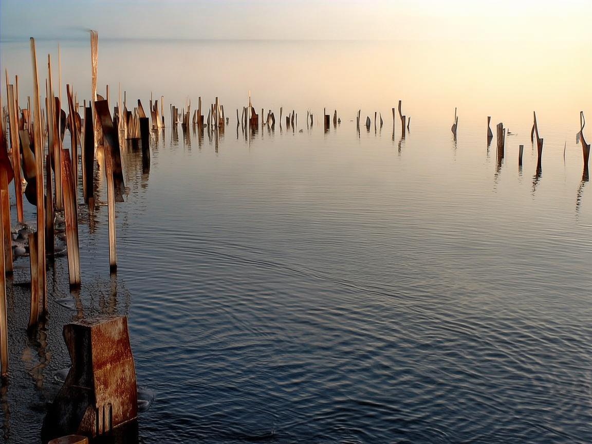 湖泊之畔，金属与水的交响诗